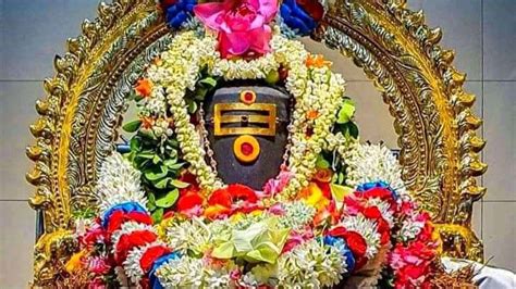 சிவனே என்று இரு மனமே .
